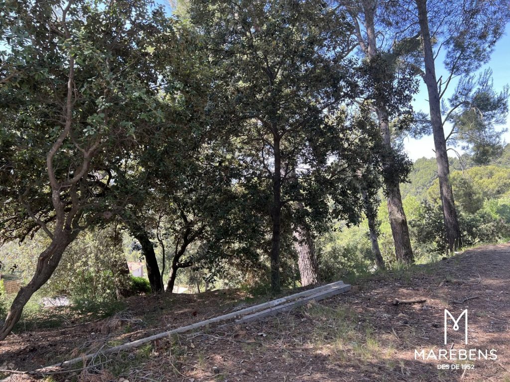 Terreno urbano en venta en el Camino del Picarany - 4/8
