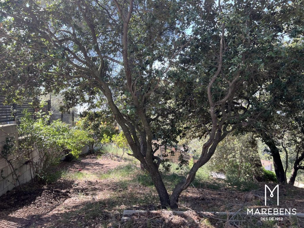 Terreno urbano en venta en el Camino del Picarany - 5/8